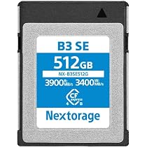 その他 NX-B3SE512G 4.0 CFexpress Type B 512GB 71V0z+P5CTL._AC_UL210_SR210,